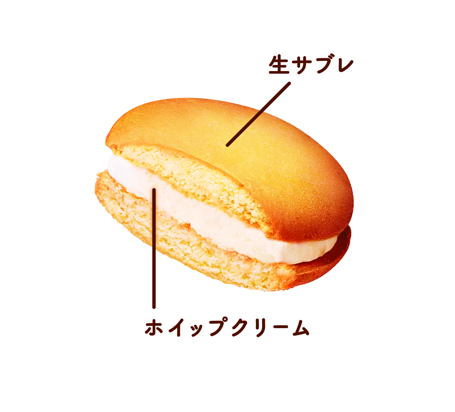 芳醇なバターが香るしっとり食感の「生サブレ」に軽やかなホイップクリームをサンド
