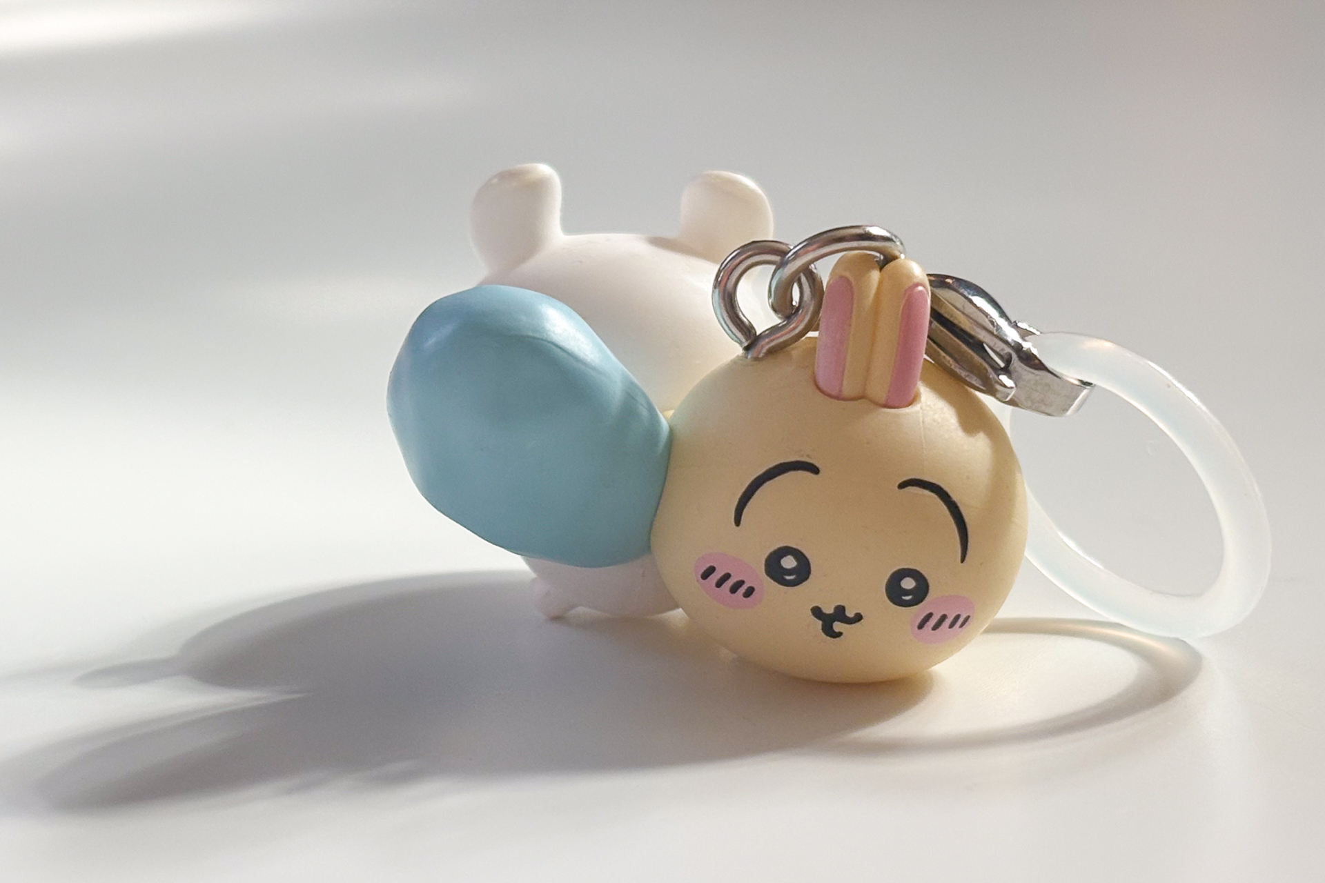 正面から見たうさぎ＆モモンガ