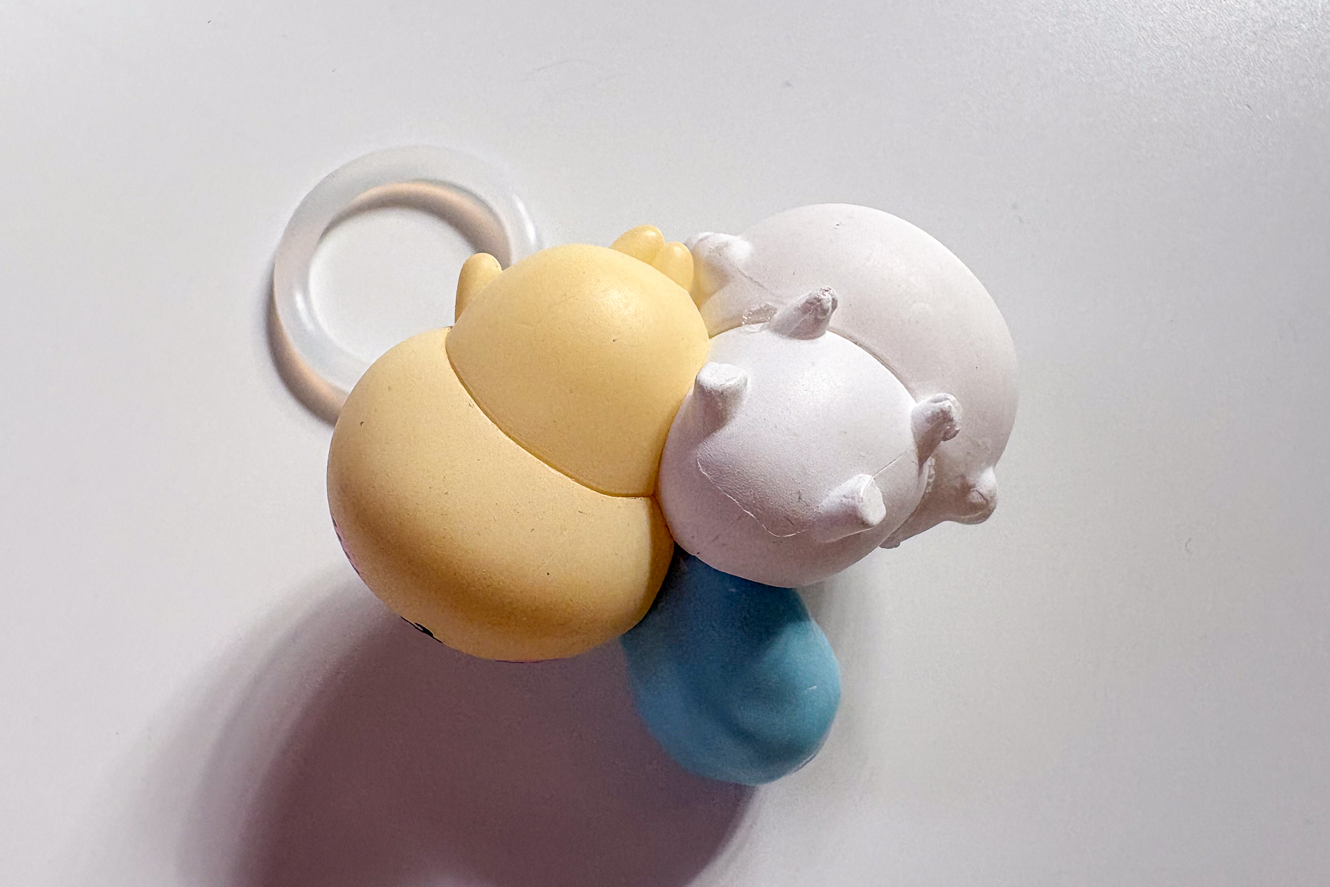 うさぎとモモンガの手足も