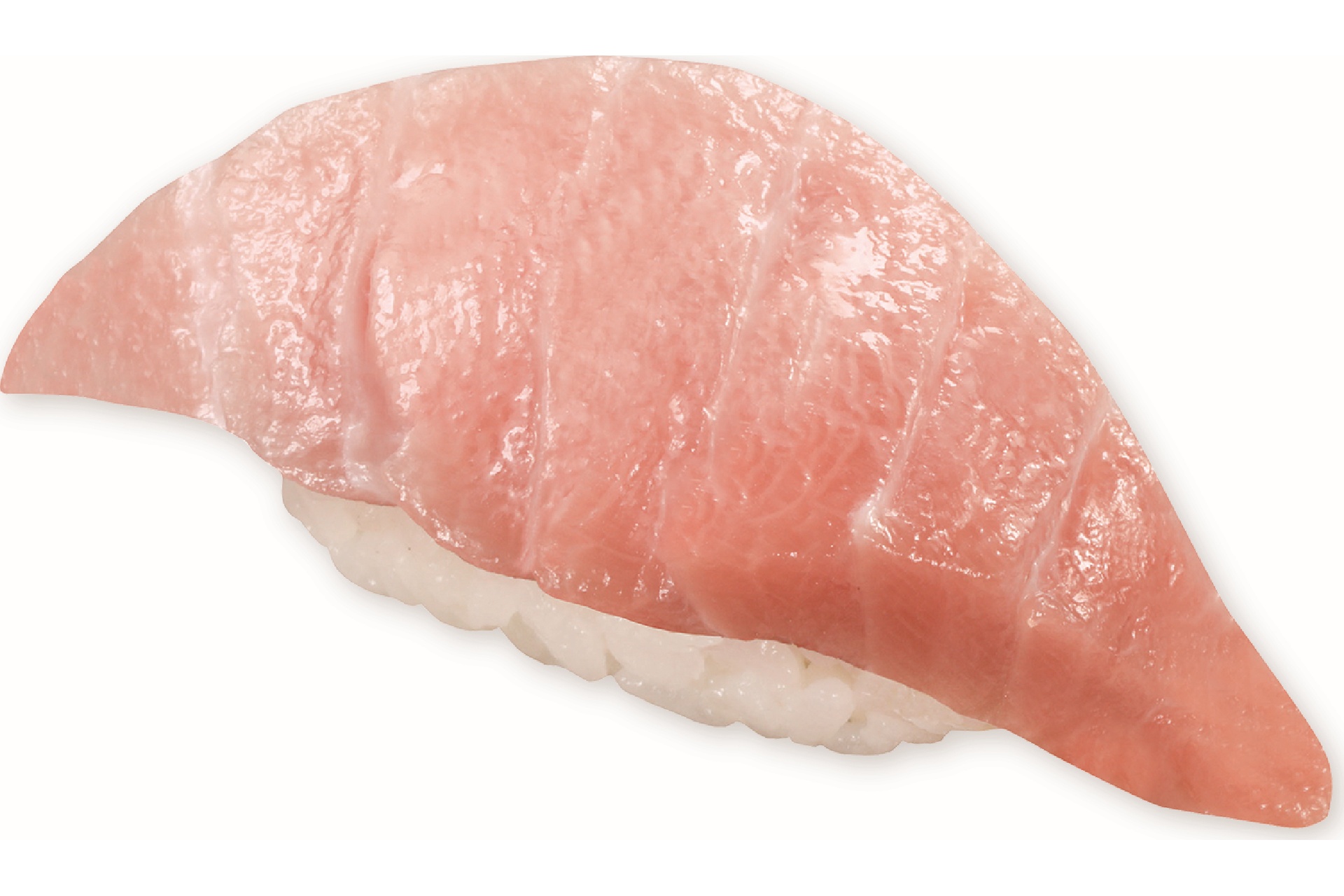 みなみまぐろ大とろ（一貫）