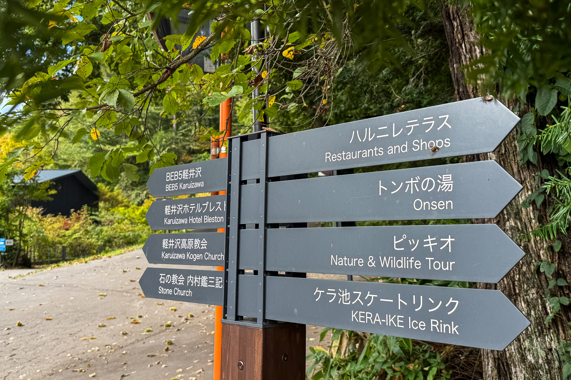 星野エリアには分かりやすい案内板も