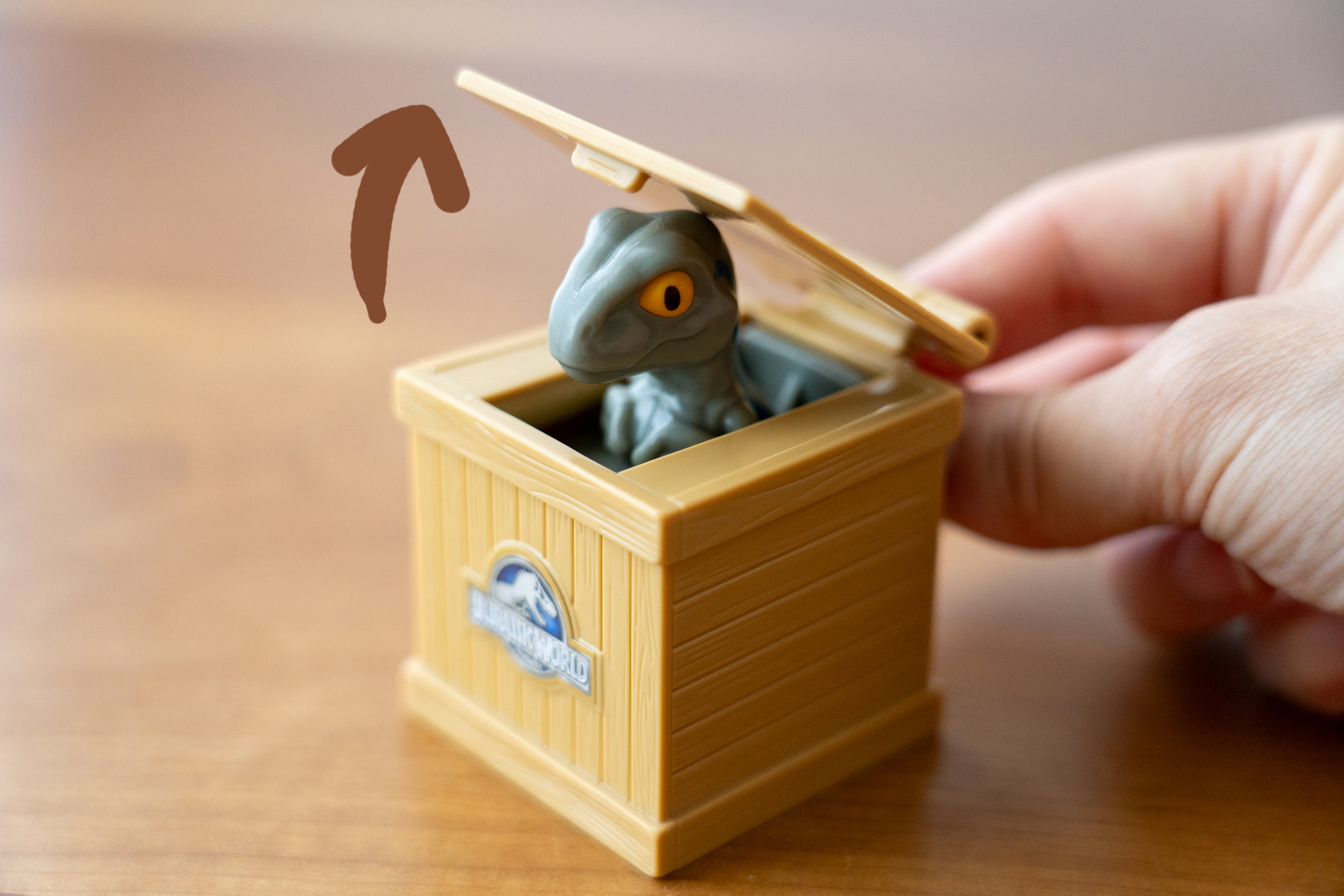 最後は、恐竜たちのコンテナをイメージしたビックリばこ！