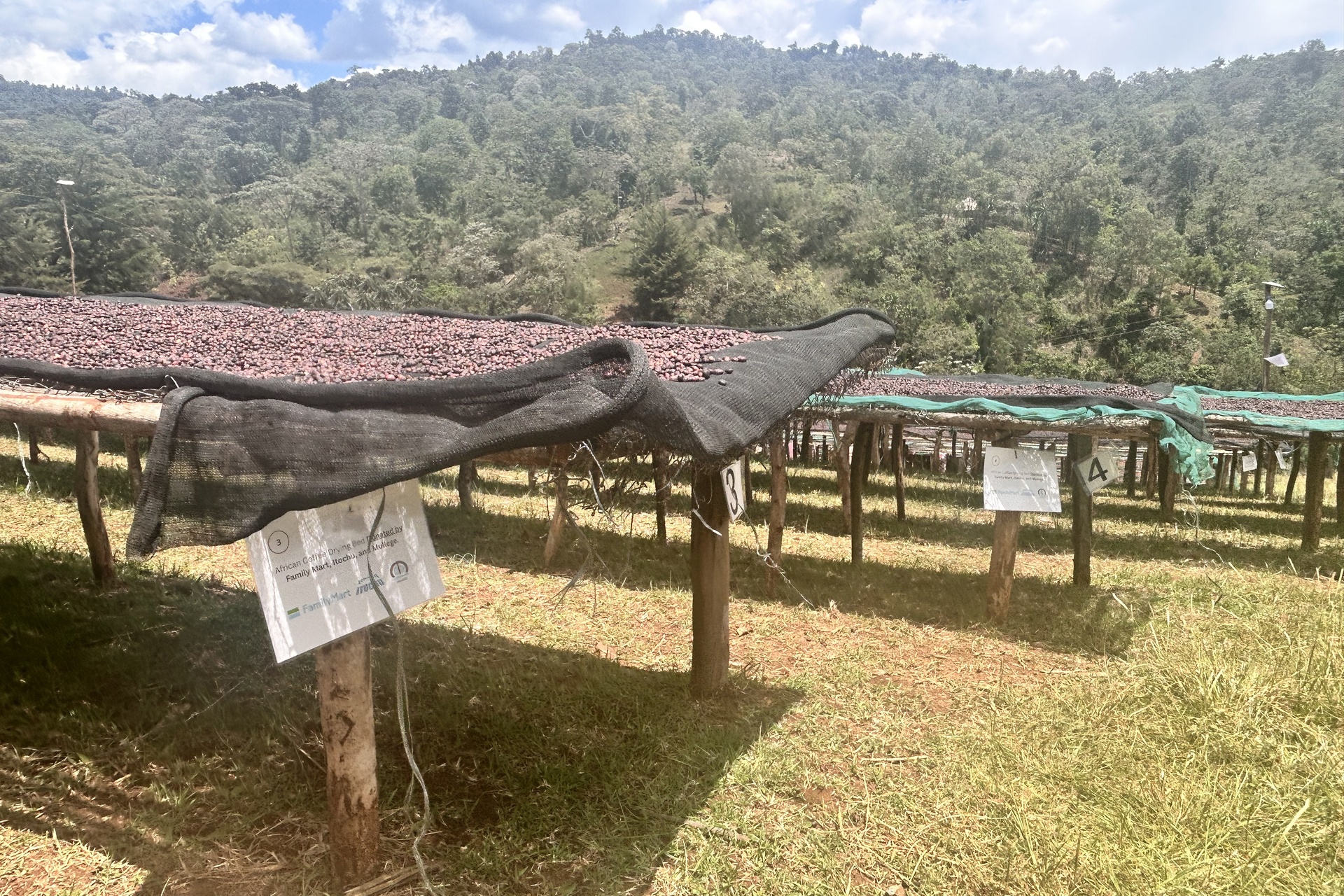 モカブレンドに使用している豆の産地、エチオピアの生産地支援のため、学校や農園に寄付を実施