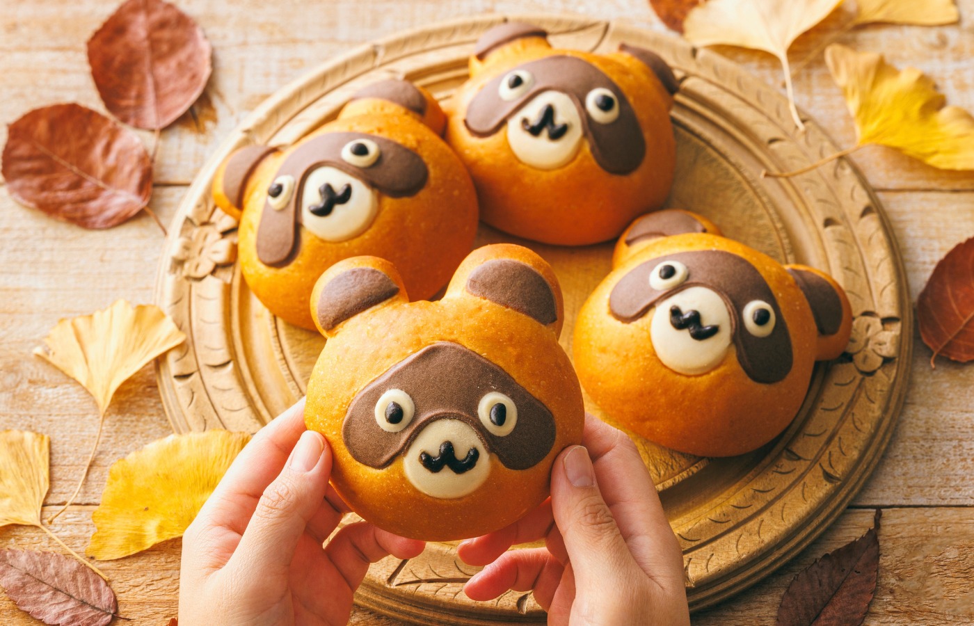 つぶらな瞳がかわいい「たぬきくん」