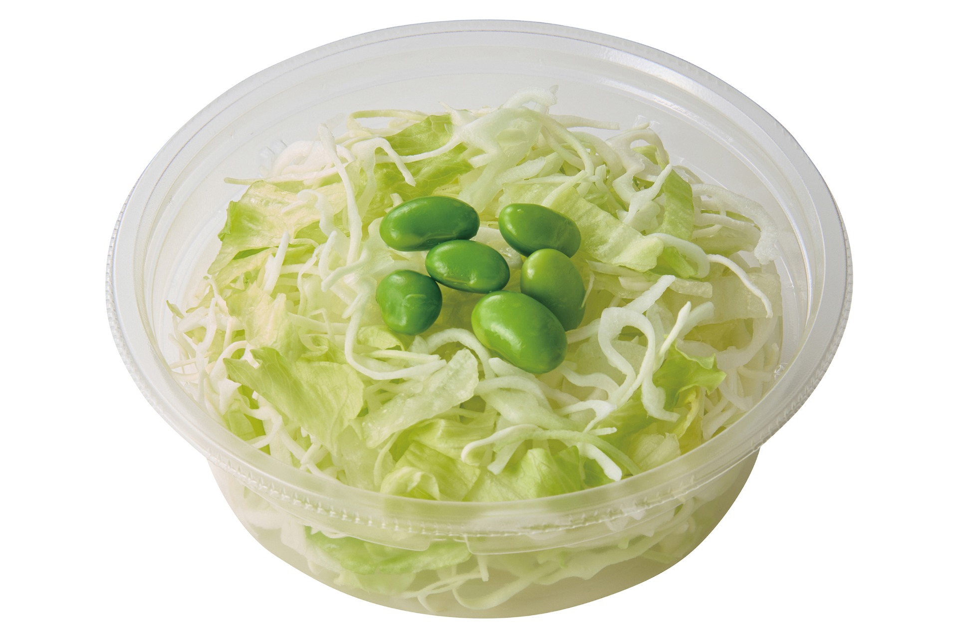 「ドレッシング付き グリーンサラダ」（100円）