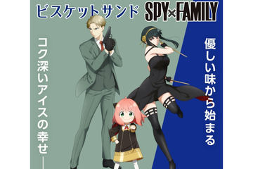ソードアートオンライン　ほっともっと　コラボ　非売品　クリアファイル ほっともっと」『劇場版 ソードアート・オンライン