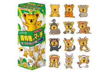 コアラのマーチ、「ハイキュー!!」と本気コラボ。コアラたちが