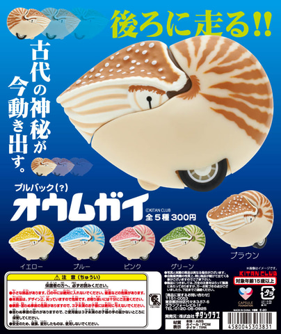 後ろ向きに走る キタンクラブよりカプセルトイ プルバックオウムガイ が登場 Hobby Watch