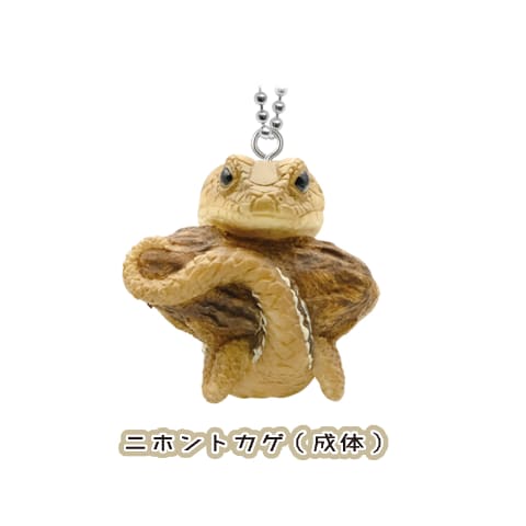 マスコットボールチェーン 爬虫類 両生類 ガチャガチャ カプセルトイ カプセルトイ「ニホンのトカゲ マスコットボールチェーン」発売決定