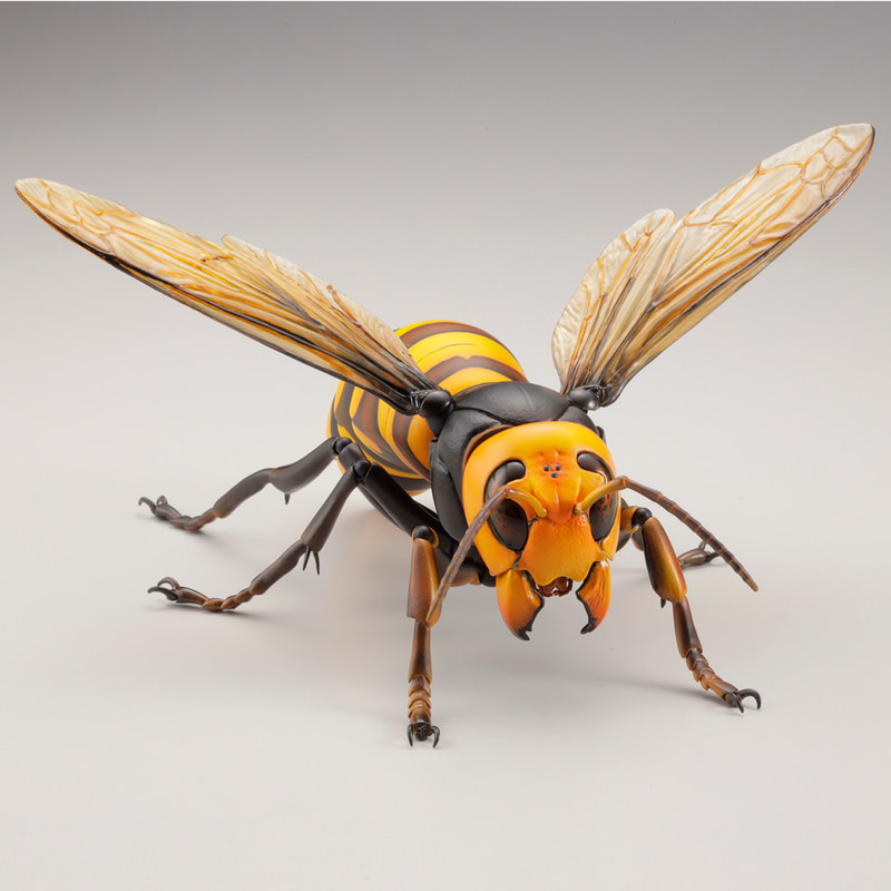 REVO GEOシリーズからは、これまで「ダイオウサソリ」、「アカテガニ」が発売されている