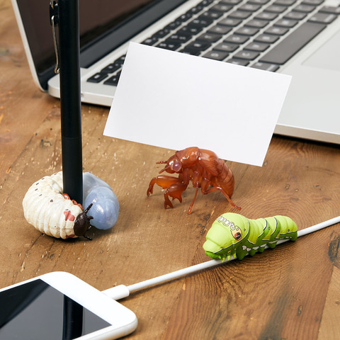 リアルなムシたち 原寸サイズの昆虫フィギュアがラインナップされた 一番くじ 昆虫 Life With Insect が登場 Hobby Watch