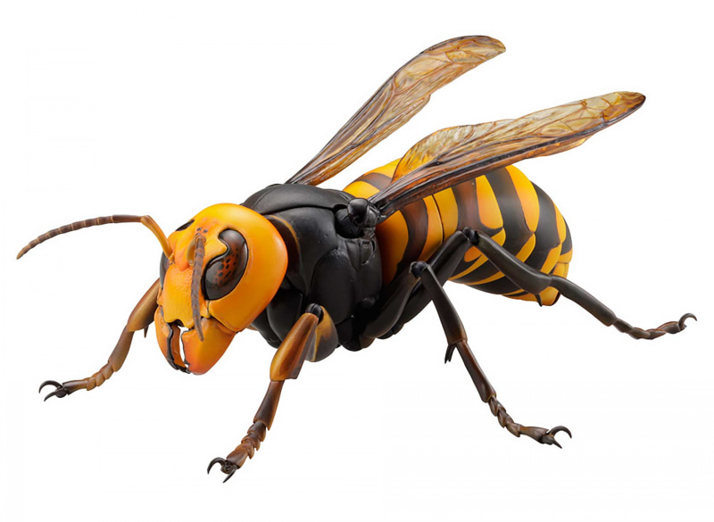 特に脚の細さと可動に苦労があったという