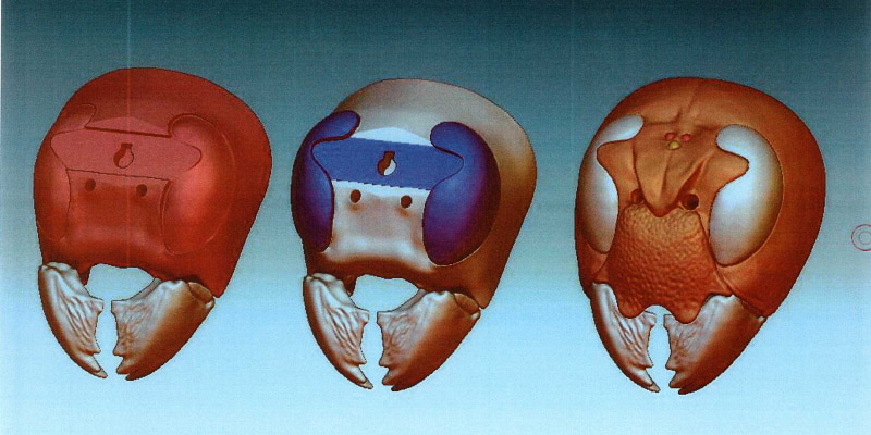 小澤氏曰く、「ダークヒーローのような顔」。目はクリアパーツで造形されており、非常にカッコイイ。開発もかなり力を込めていたことがわかる