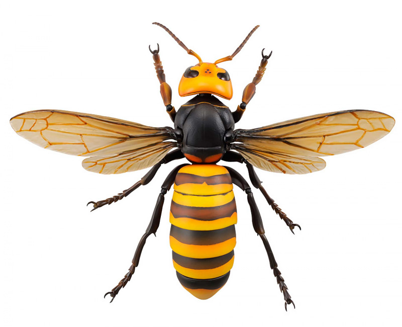 各部をチェックするほど、その作り込みに驚かされる