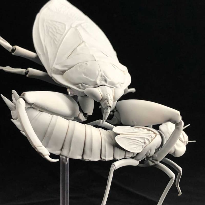 Twitterで公開された「REVO GEO タガメ」。ヤゴを捕らえる前脚の迫力が凄まじい