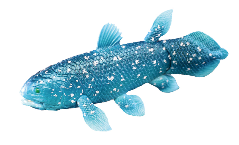 口が開閉、ヒレが可動する。サイズは約110mm