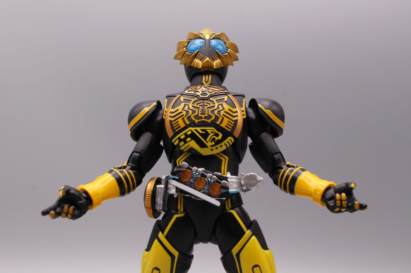 胸のオーラングサークルはゴールド、イエロー、レモンイエローでそれぞれ塗装されている。眼はブルーのクリアパーツ