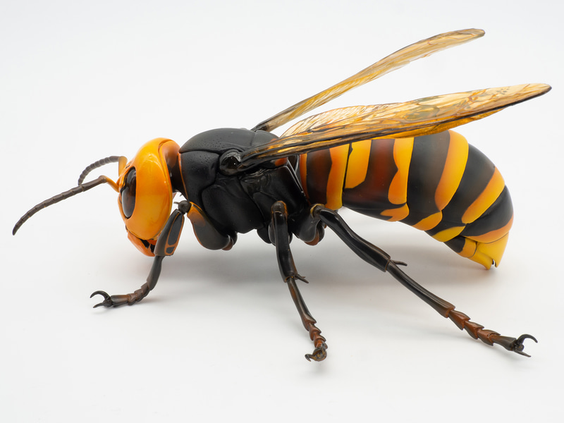 今回発売される「REVO GEOオオスズメバチ」は、全部で25カ所も可動させることができる