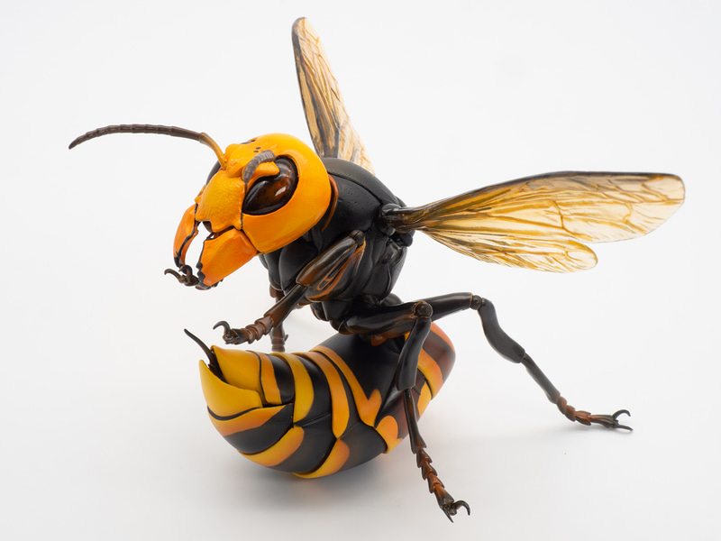 尻尾を曲げることで、攻撃態勢を取らせることが可能だ