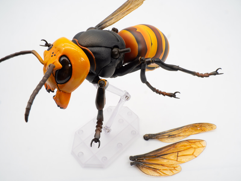 形態に合わせて翅の付け替えができる