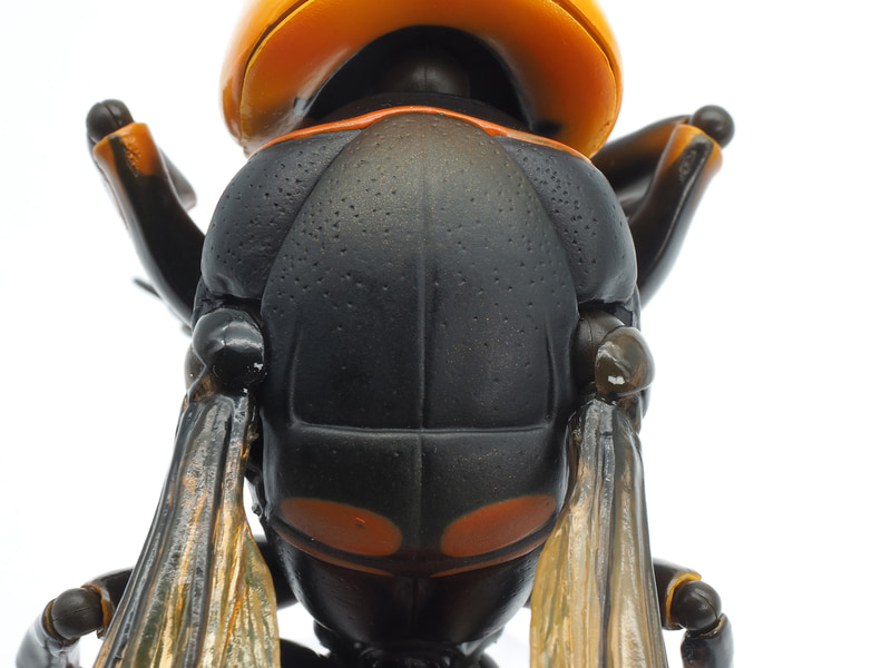 全塗装だからできる色の塗り分けの細かさ