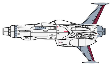 BBK 1/6 海賊キャプテン ソフィア Amazon | HiPlay BBK 1/6 カリブ海の海賊 ソフィア 女性 BBK017