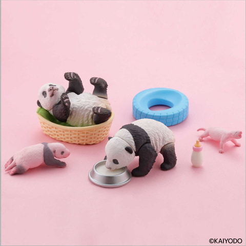 赤ちゃんパンダ可愛すぎぃぃ 海洋堂 カプセルqミュージアム 子パンダ日和 Season2 すくすく成長記 を11月発売 Hobby Watch