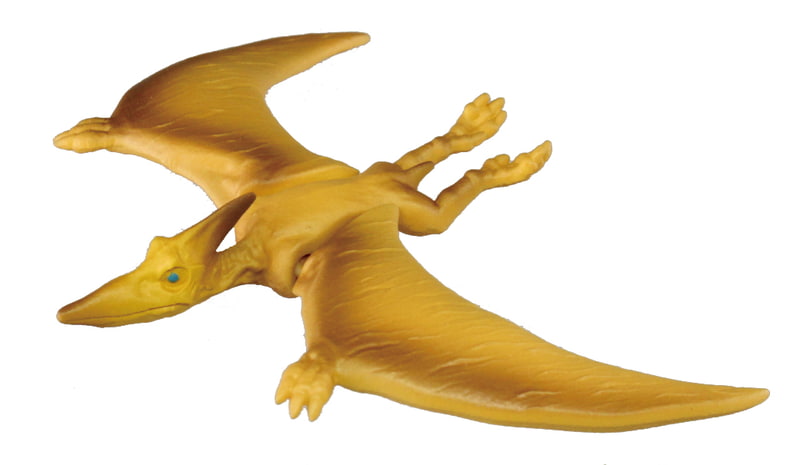 成長した大きさは約6m。肉食で魚などをたべていたらしい