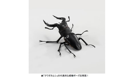 本物そっくりな ギラファノコギリクワガタ や アルマジロトカゲ がガシャポンに登場 Hobby Watch