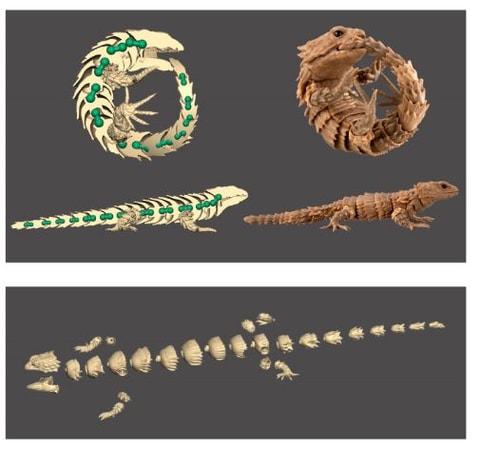 本物そっくりな ギラファノコギリクワガタ や アルマジロトカゲ がガシャポンに登場 Hobby Watch 本物そっくりな ギラファノコギリクワガタ や アルマジロトカゲ がガシャポンに登場 Hobby Watch