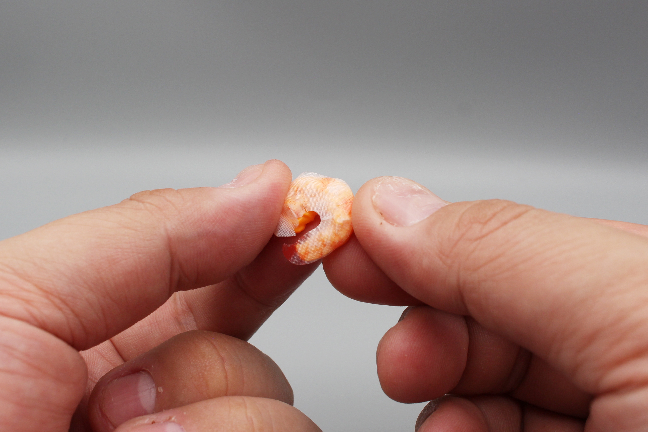 エビは専用のシールを貼って作る。パーツとシールの番号を間違えないように