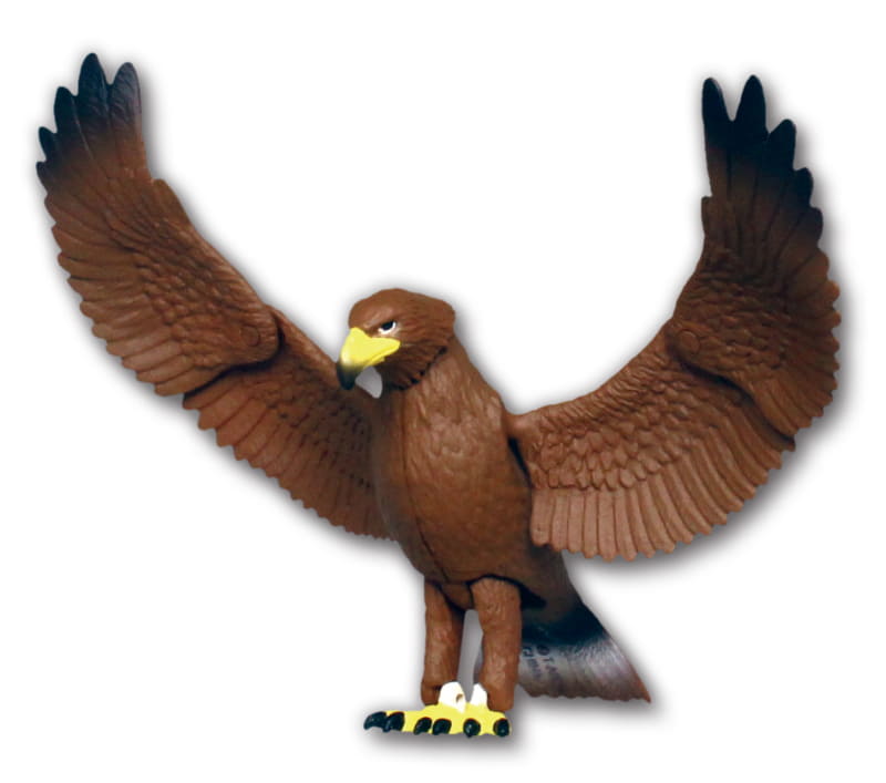 アフリカや北アメリカ、日本に生息