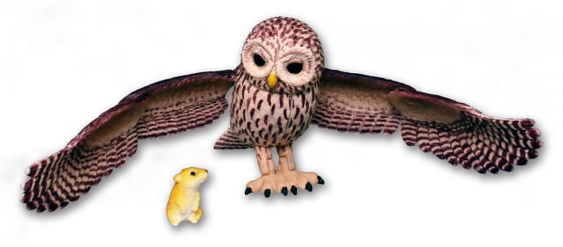 スカンジナビア半島から日本など広く分布