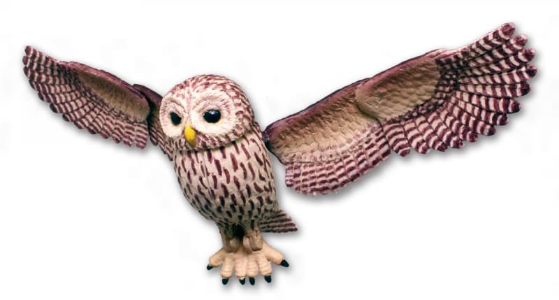 夜行性で木の上から獲物に飛びかかり捕らえる