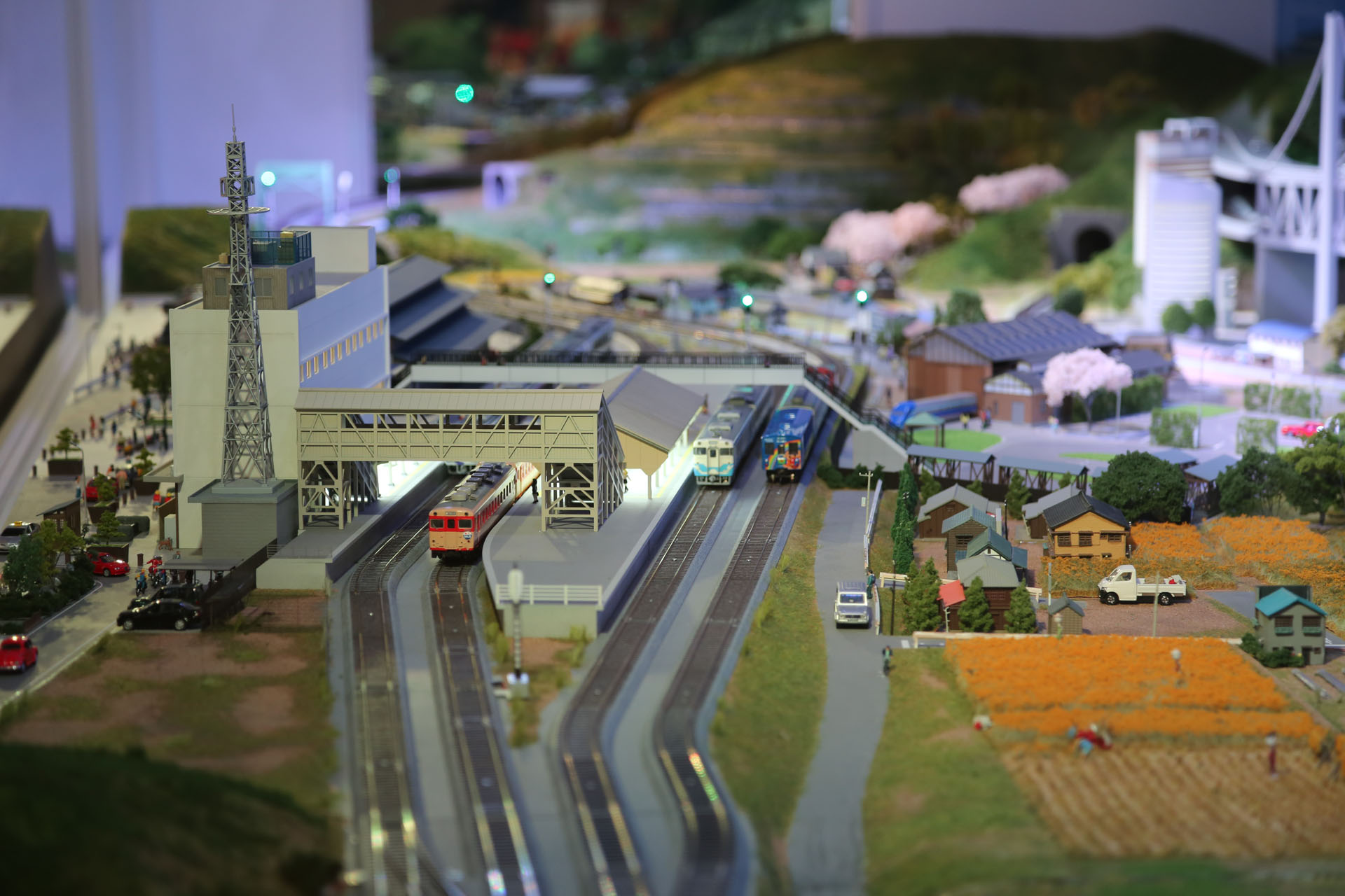 左側の2本の線路が予讃線、右側の2本の線路が予土線