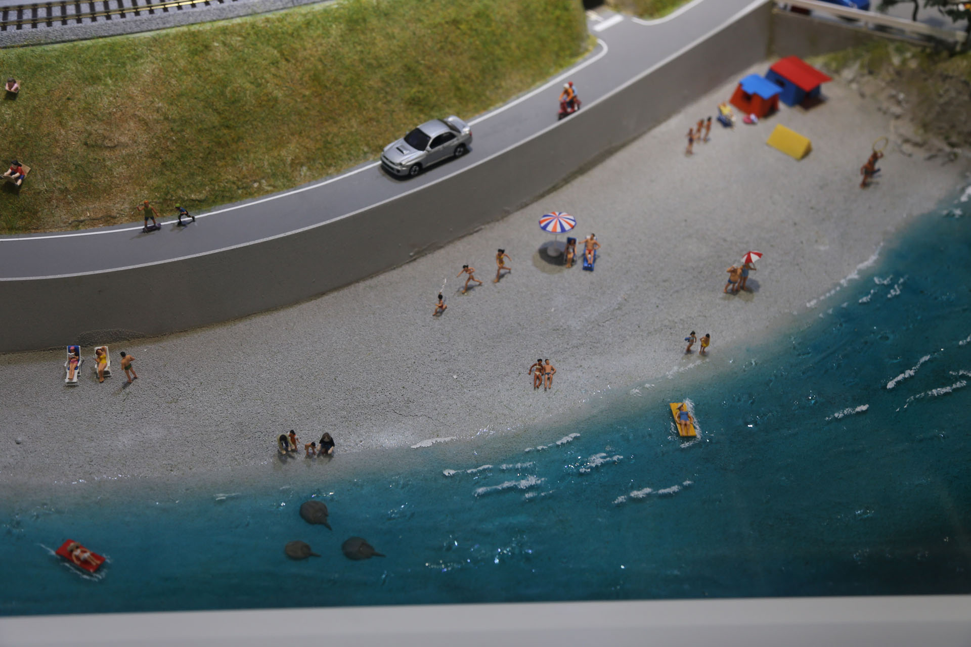 ビーチで遊ぶ人々。左下にカブトガニ。瀬戸内の海岸で見られる