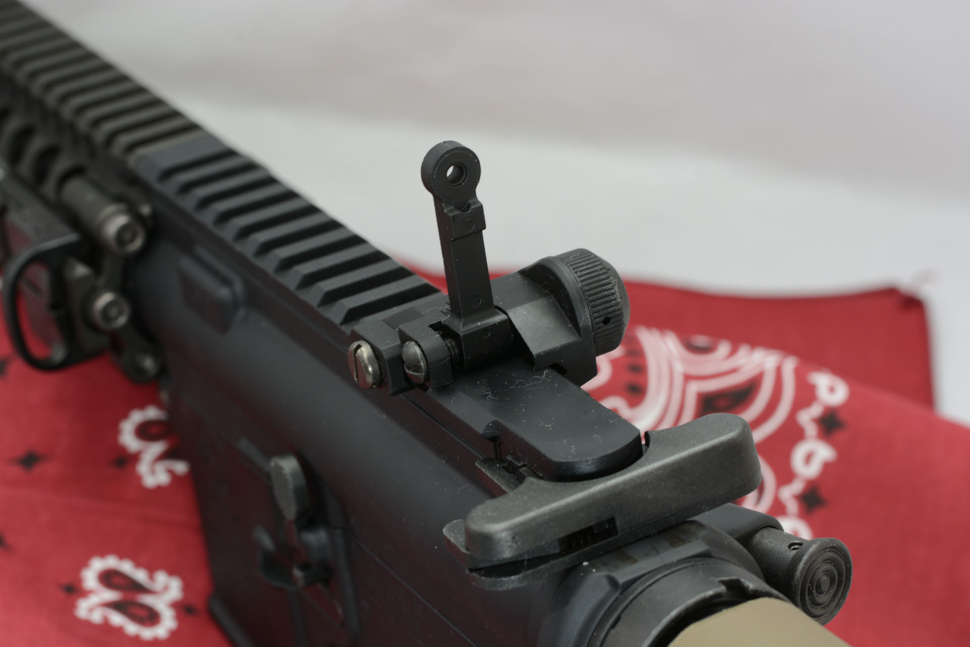 後部のリアサイト。リアサイトの穴からのぞき込み、フロントサイトで狙いをつけるのだ