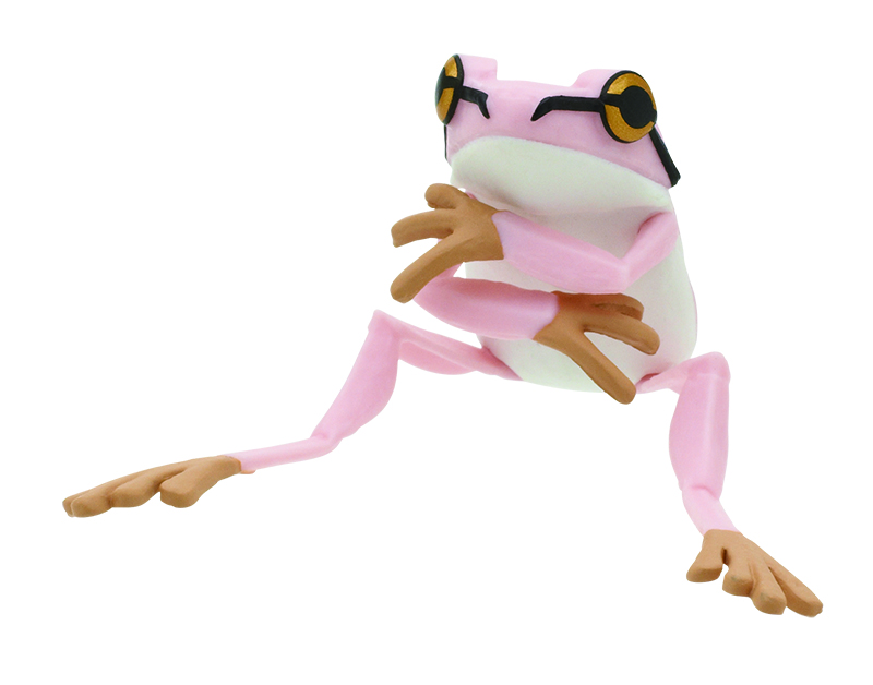 上：アマガエル（ももいろ）/下：ラマシーヤドクガエル