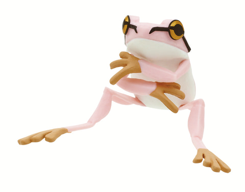 ガマガエルページ ダマガエル