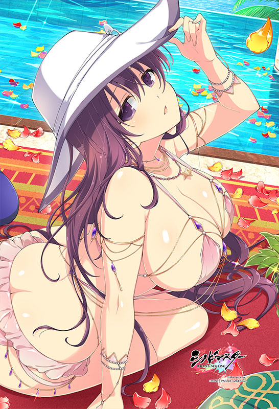 「シノビマスター 閃乱カグラ NEW LINK」まくらカバー(紫)