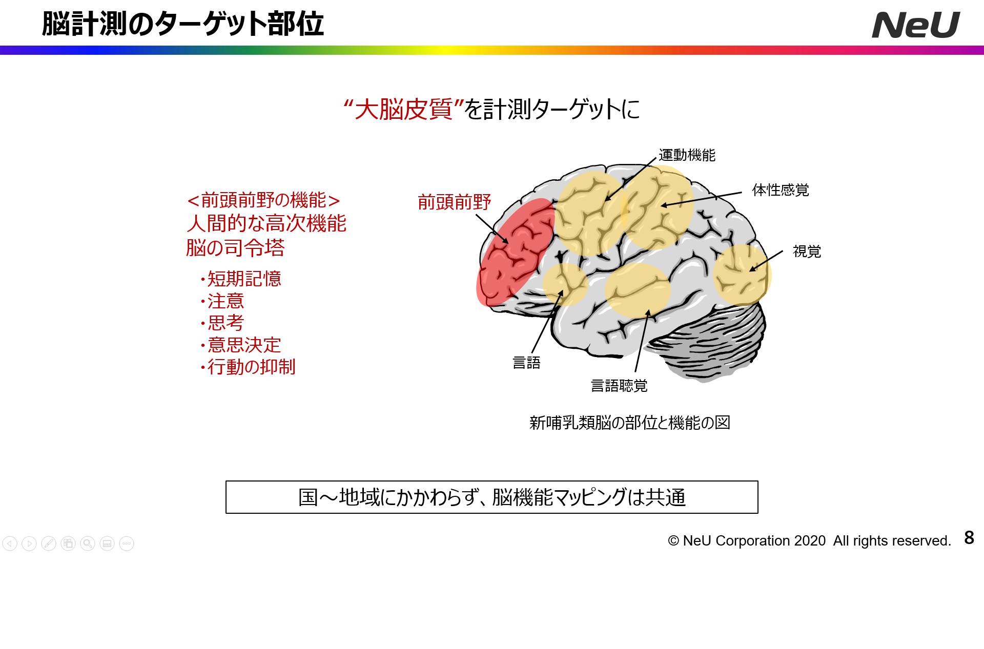 現在進めている研究は前頭前野の活動に注視したもの