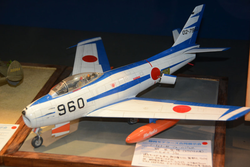 凝った塗装の戦闘機