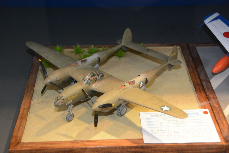 凝った塗装の戦闘機