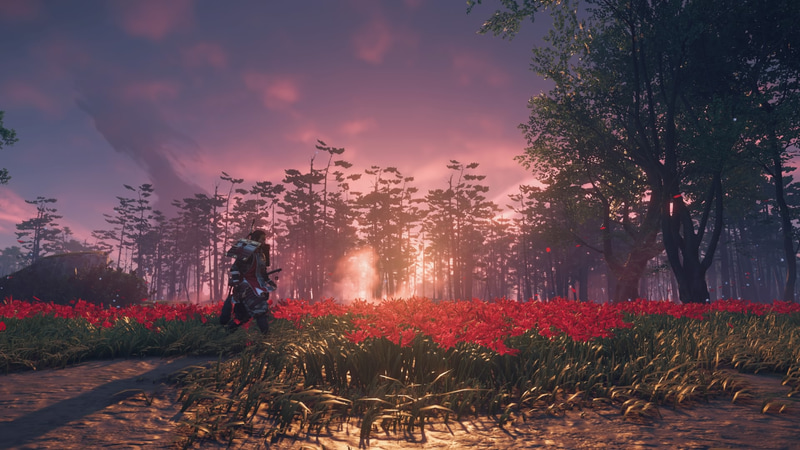 「Ghost of Tsushima」のスクリーンショット。美しい対馬の地を舞台に、この地を制圧した蒙古兵に立ち向かうアクション