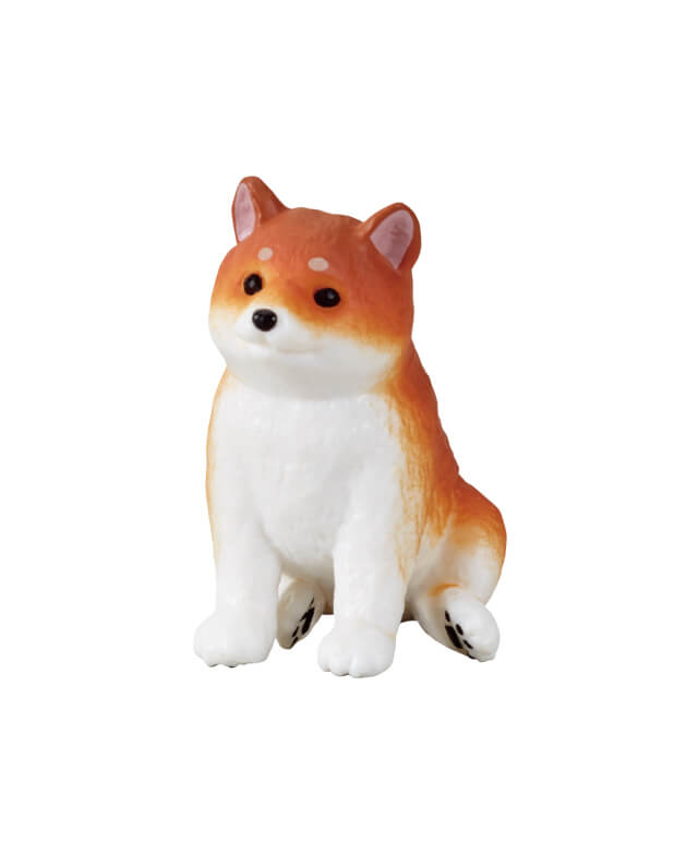 おすわり（ごま柴）