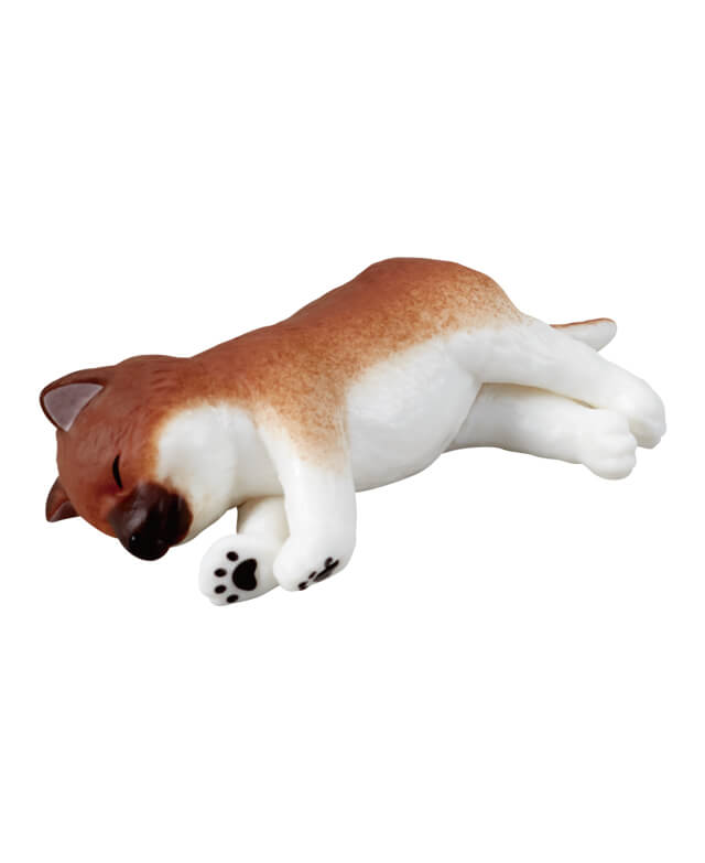 すやすや（赤ごま柴）