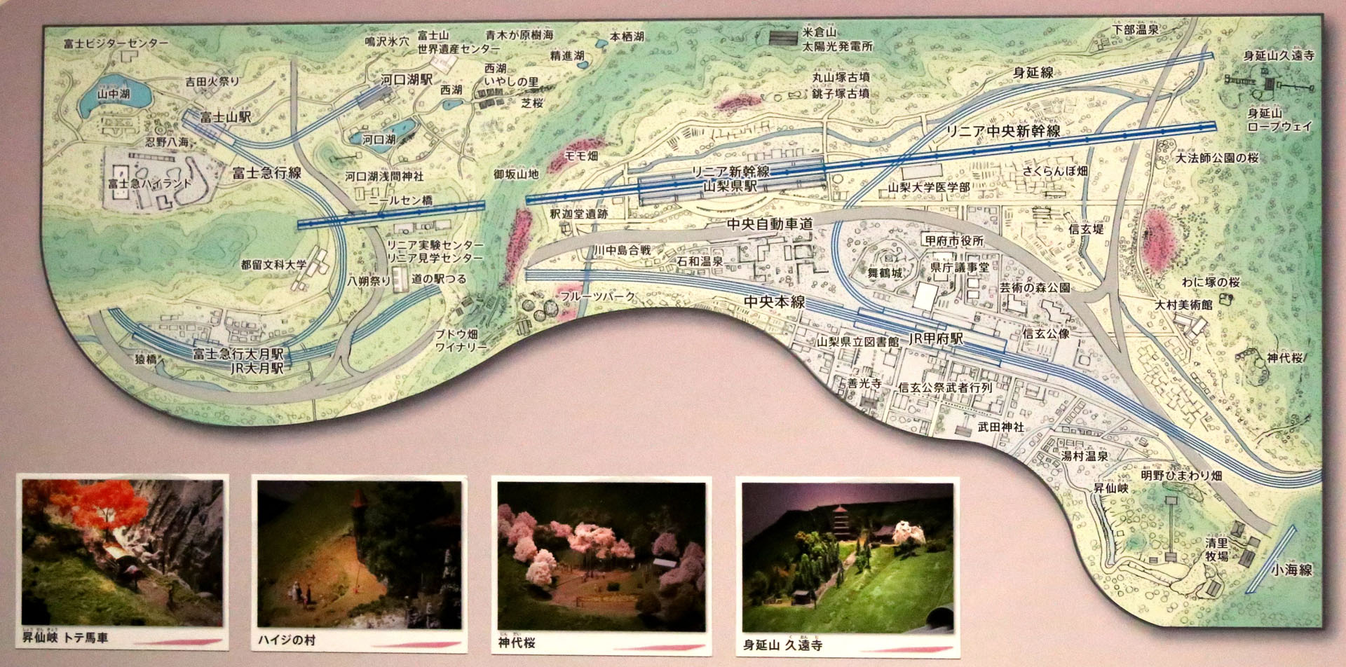 ジオラマ配置図。中央本線の周回線路は半分以上の線路を隠し、往復運転に見せる
