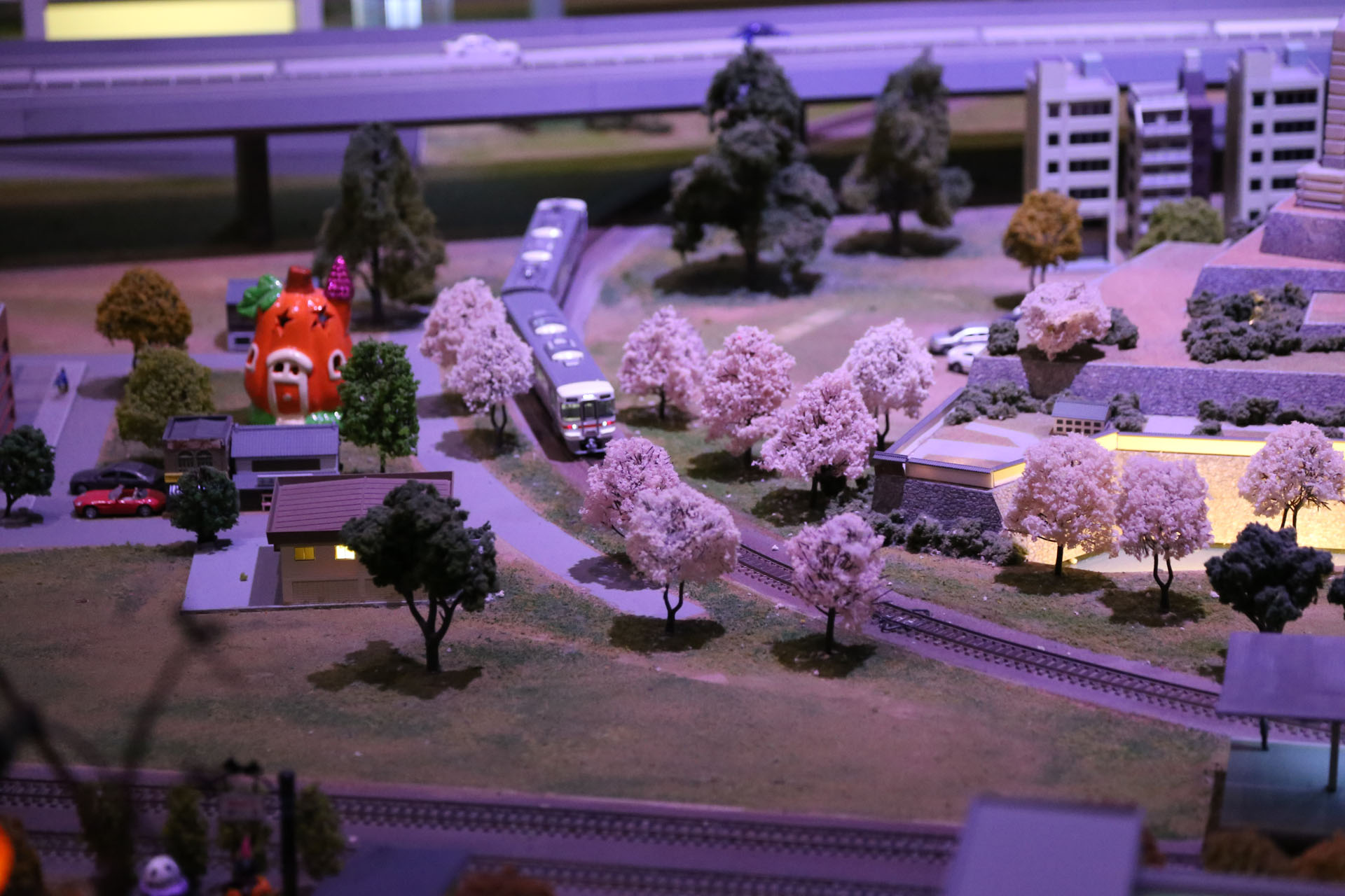 桜並木を行く身延線。JR東海の313系電車