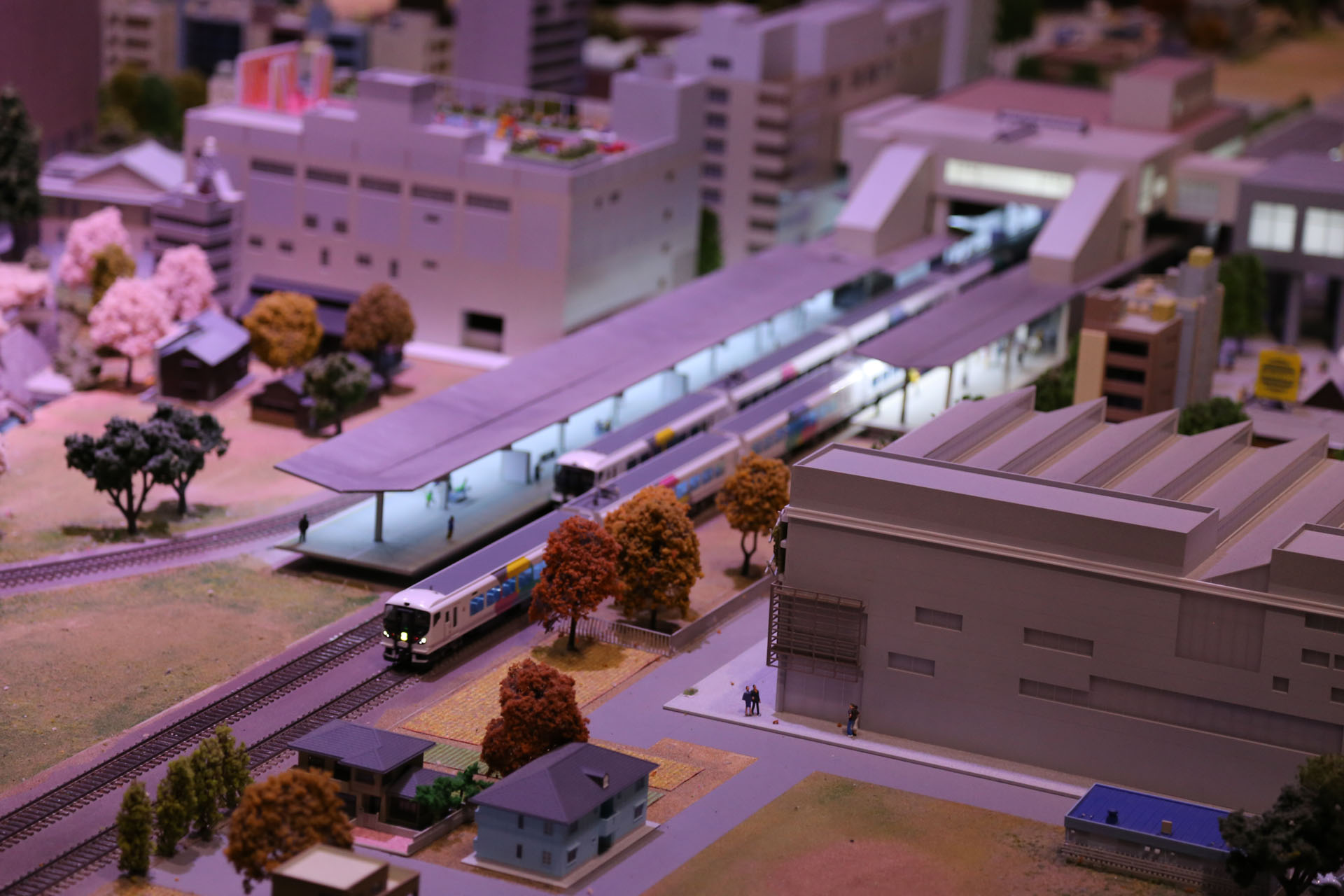 甲府駅ですれ違うE257系電車。現在は伊豆方面「踊り子」で活躍中