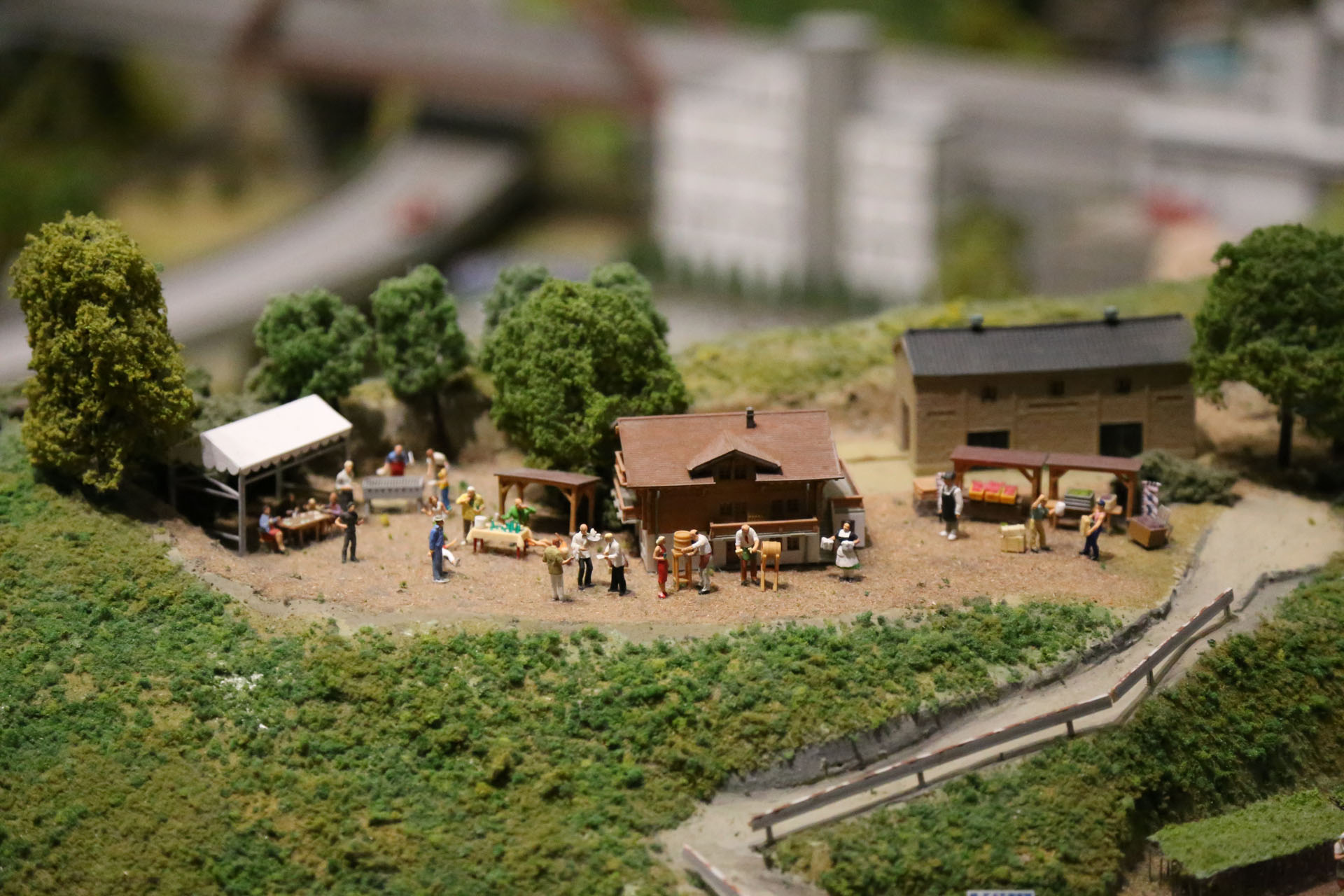 ワイナリーでは収穫祭が行なわれている